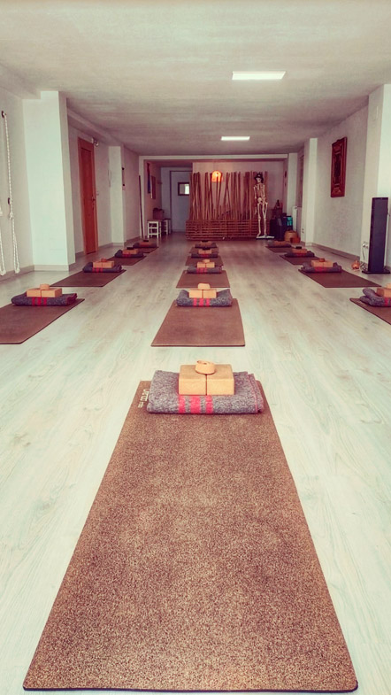 Yoga Shala Mats